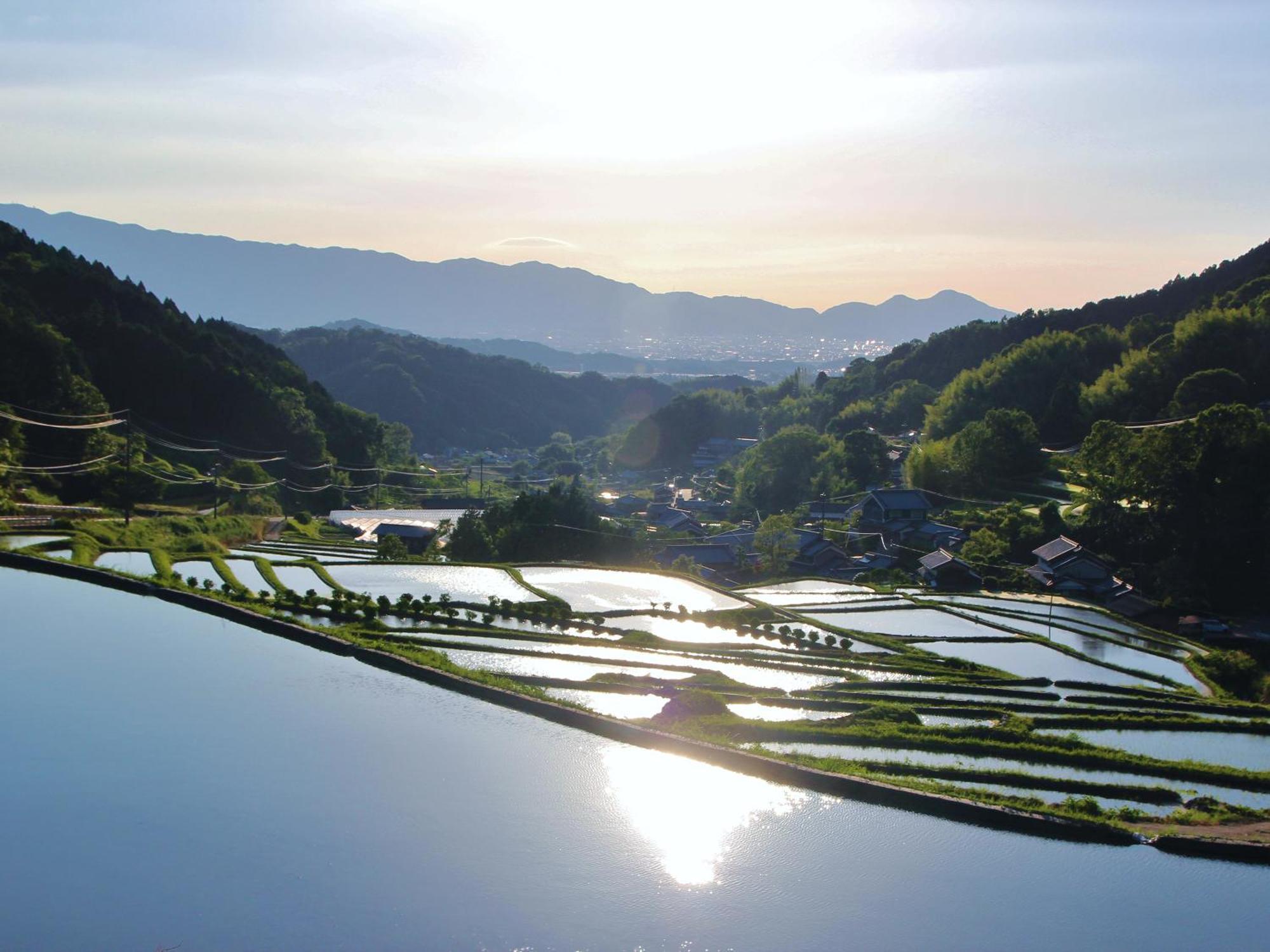 Grand Mercure Nara Kashihara Kashihara  Luaran gambar