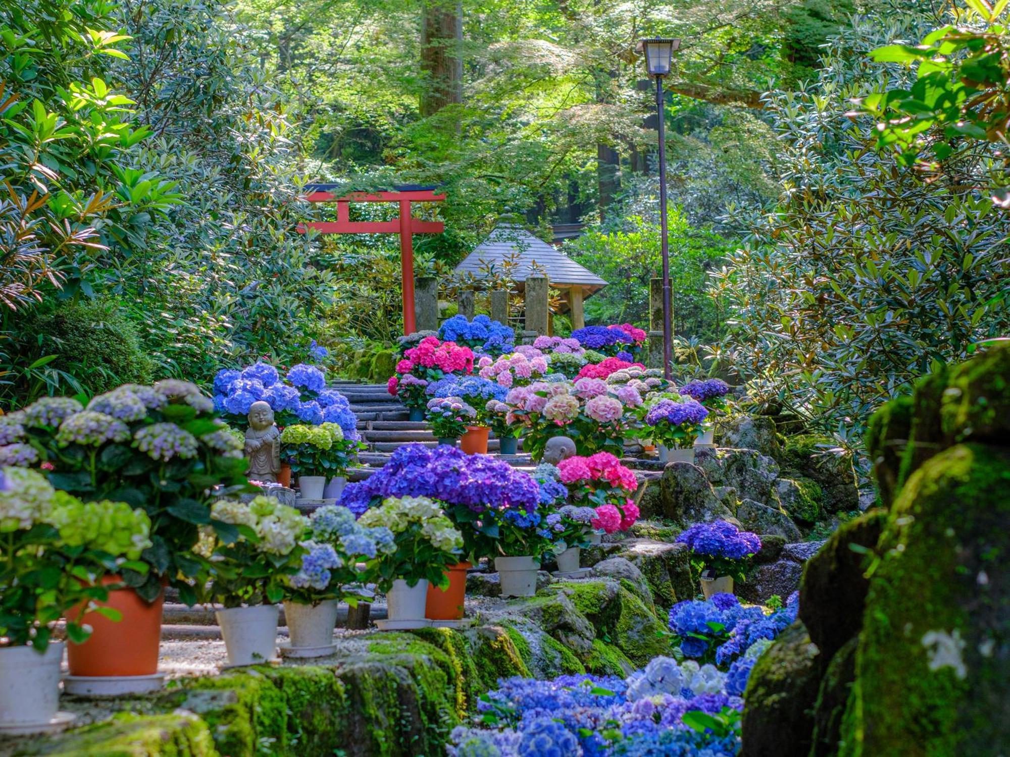 Grand Mercure Nara Kashihara Kashihara  Luaran gambar
