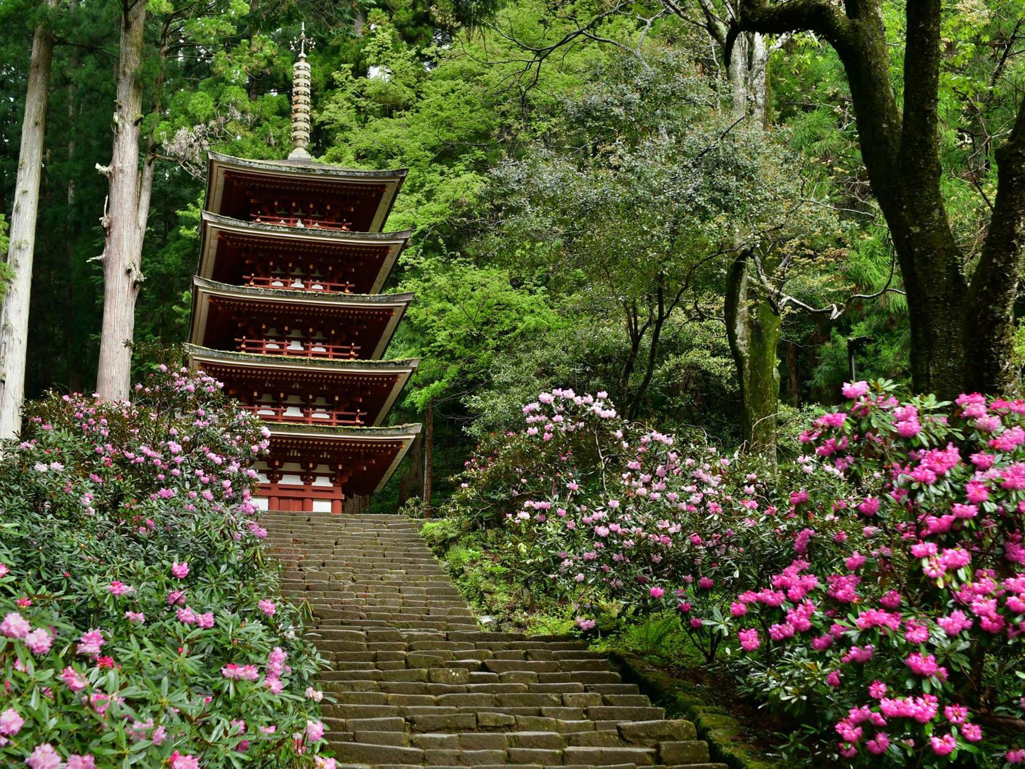 Grand Mercure Nara Kashihara Kashihara  Luaran gambar