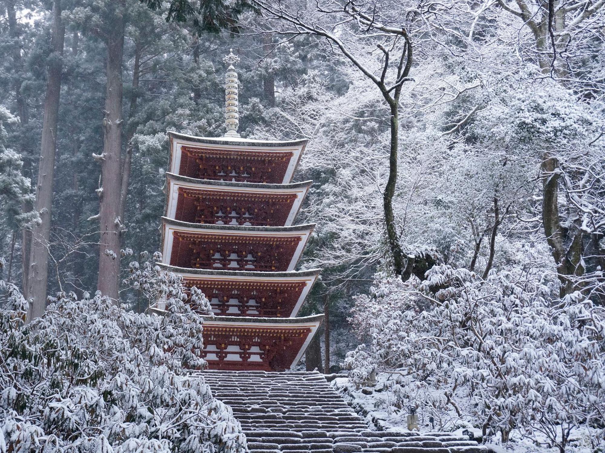 Grand Mercure Nara Kashihara Kashihara  Luaran gambar